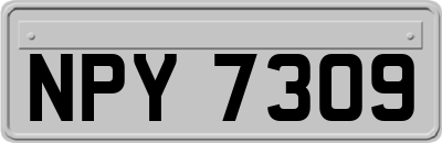 NPY7309