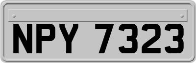 NPY7323