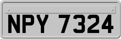 NPY7324