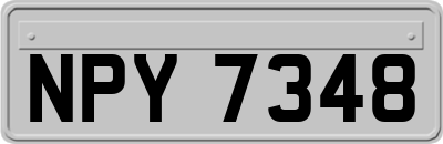 NPY7348