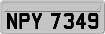 NPY7349