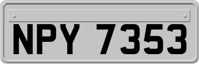 NPY7353