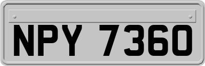 NPY7360