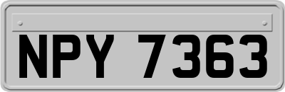 NPY7363
