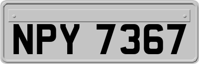NPY7367
