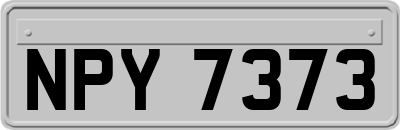 NPY7373