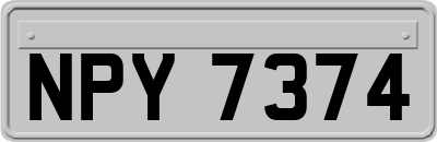 NPY7374
