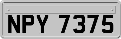 NPY7375