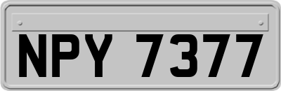 NPY7377