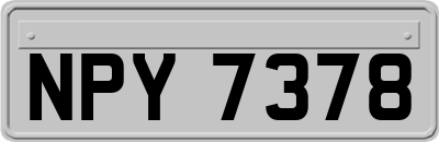 NPY7378