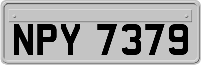 NPY7379