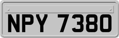 NPY7380