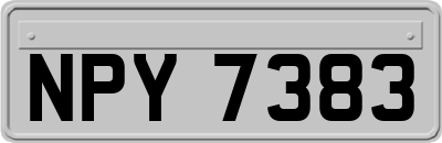 NPY7383