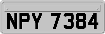 NPY7384