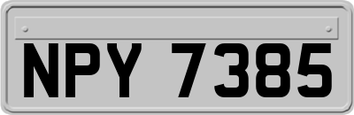 NPY7385
