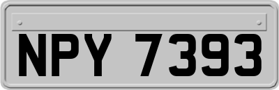 NPY7393