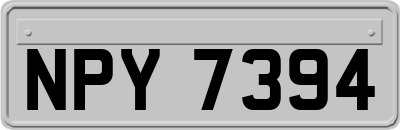 NPY7394