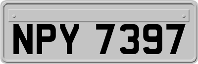 NPY7397