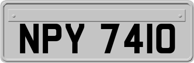 NPY7410