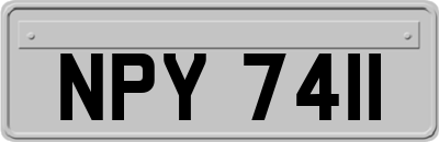 NPY7411