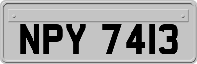 NPY7413