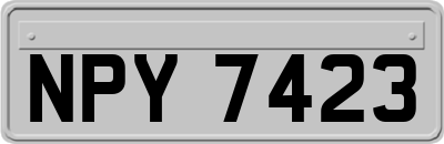 NPY7423