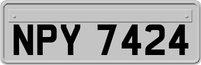 NPY7424