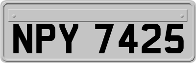NPY7425