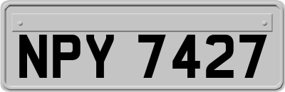 NPY7427