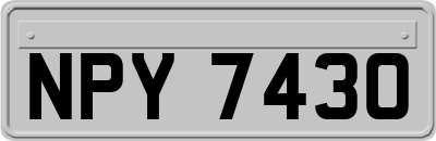 NPY7430