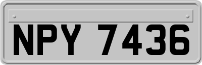 NPY7436