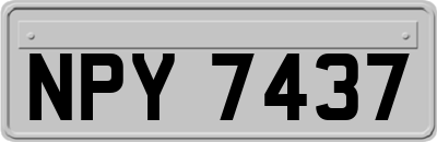 NPY7437