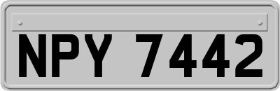 NPY7442