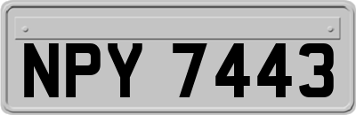 NPY7443