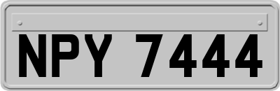 NPY7444