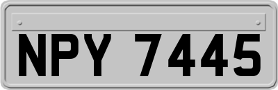 NPY7445