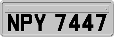 NPY7447