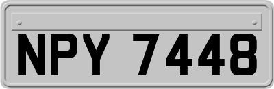 NPY7448