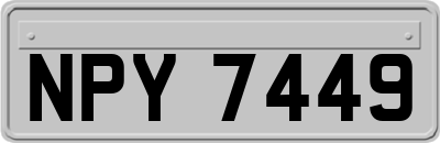 NPY7449
