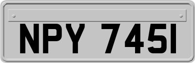 NPY7451