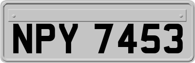 NPY7453