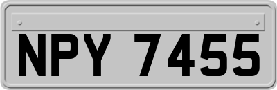 NPY7455