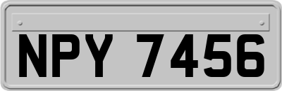 NPY7456