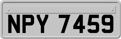NPY7459