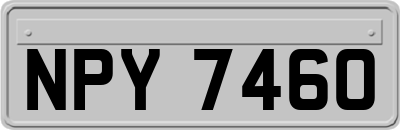 NPY7460
