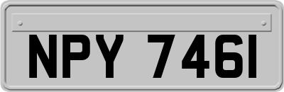NPY7461