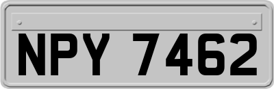 NPY7462