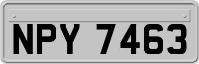 NPY7463