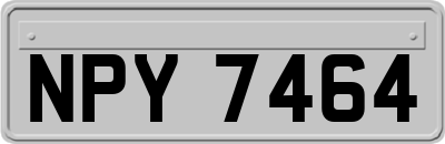 NPY7464