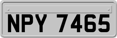 NPY7465